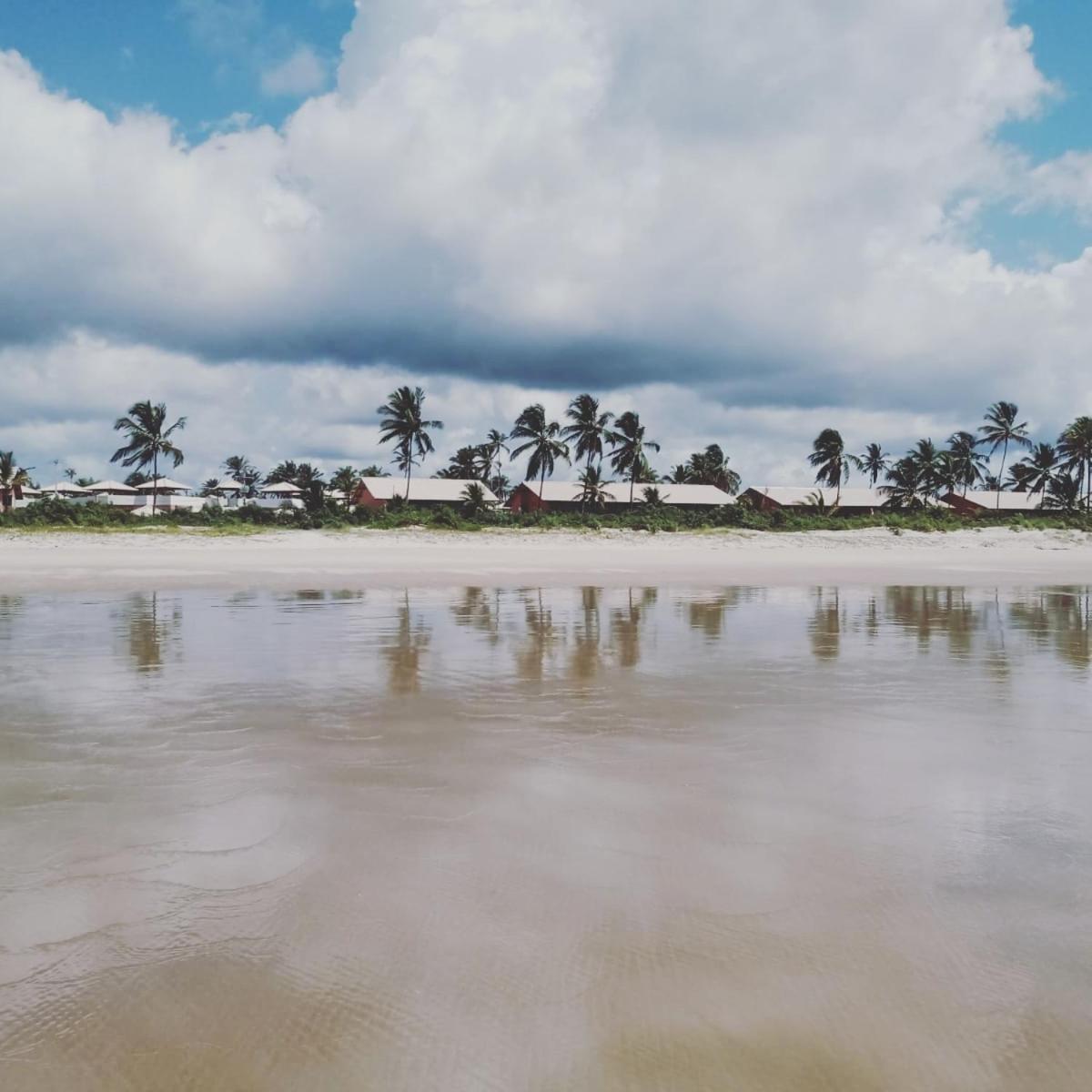 Lindo Apto Em Frente Ao Mar - Ilheus - Itacare Ba Apartment Bagian luar foto